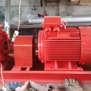 Pompa Hydrant Elektrik 500 Gpm (Pompa Pemadam Kebakaran)