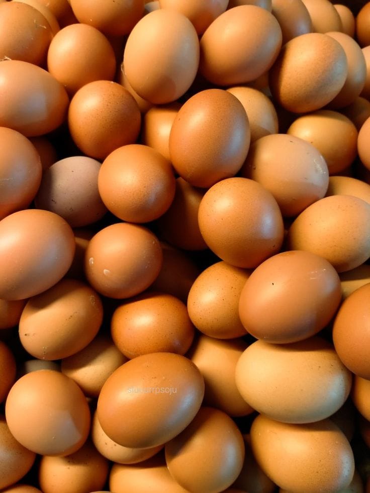 e1b407a64db37c2595ae1b2c43b2c74e